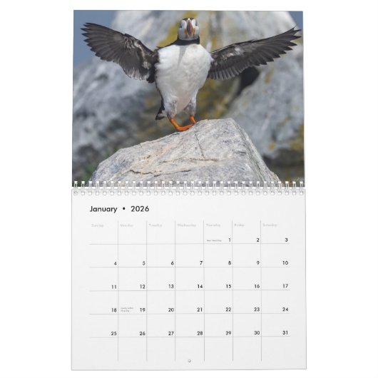 Maine’s Atlantic Puffins: Coasting Into 2026 Kalender (Jan 2026)