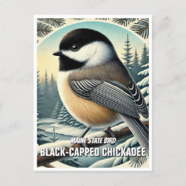 Maine Staat Bird Black Capped Chickadee Postkarte