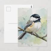 Maine Staat Bird Black Capped Chickadee Postkarte (Vorne/Hinten)