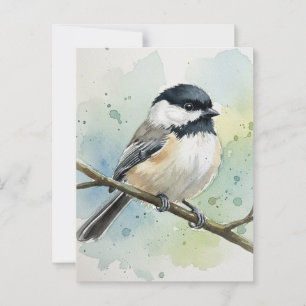 Maine Staat Bird Black Capped Chickadee Postkarte