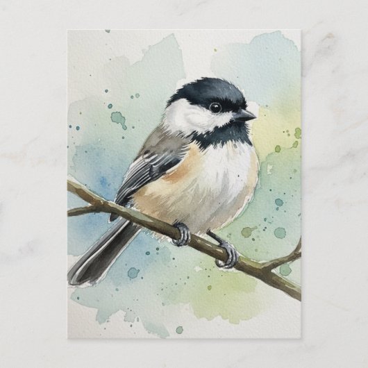Maine Staat Bird Black Capped Chickadee Postkarte (Vorderseite)