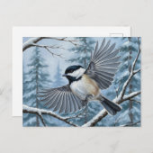 Maine Staat Bird Black Capped Chickadee Postkarte (Vorne/Hinten)