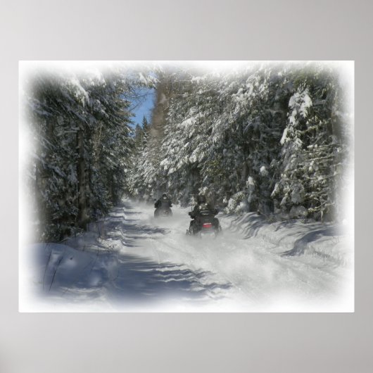 Maine Trail Poster (Vorne)