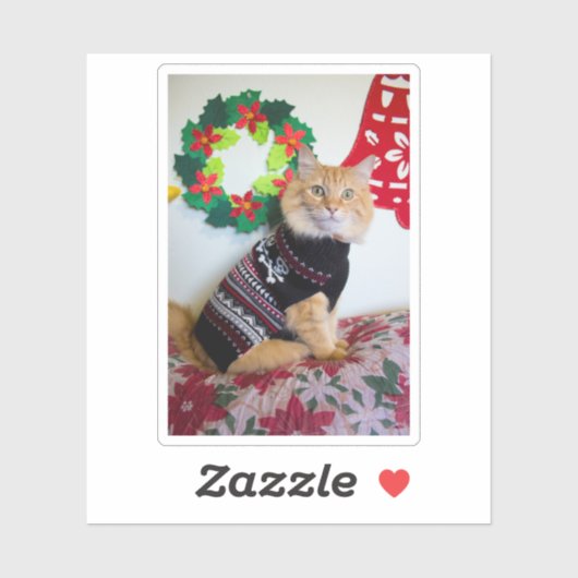 Maine Typ I Aufkleber (Blatt)