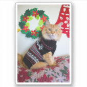 Maine Typ I Aufkleber (Vorderseite)