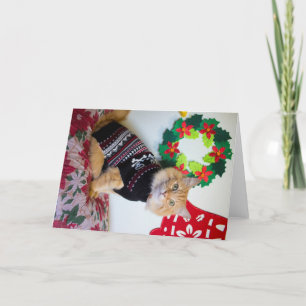 Maine Typ I Feiertagskarte