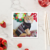 Maine Typ I Serviette (Beispiel)