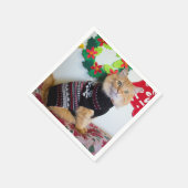 Maine Typ I Serviette (Ecke)