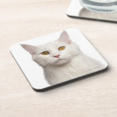 Maine-Waschbär (8 Monate alte) 2 Untersetzer (Linke Seite)