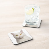 Maine-Waschbär (8 Monate alte) 2 Untersetzer (Rechte Seite)