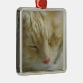 Maine-Waschbär-Bentleyschlafen Ornament Aus Metall (Rechts)