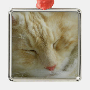Maine-Waschbär-Bentleyschlafen Ornament Aus Metall