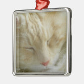 Maine-Waschbär-Bentleyschlafen Ornament Aus Metall (Links)