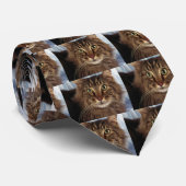 Maine-Waschbär, brauner Tabby Krawatte (Gerollt)