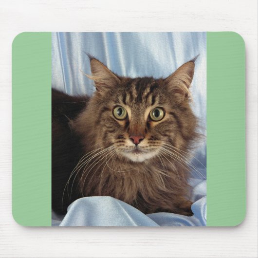 Maine-Waschbär, brauner Tabby Mousepad (Vorne)