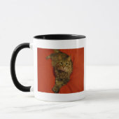Maine-Waschbär-Kaffee-Tasse Tasse (Links)