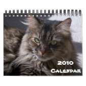 Maine-Waschbär-Kalender 2010 Kalender (Titelbild)