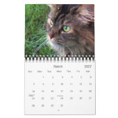 Maine-Waschbär-Kalender 2010 Kalender (Mär 2027)