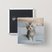 Maine-Waschbär-Kätzchen Button (Vorne & Hinten)