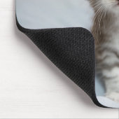 Maine-Waschbär-Kätzchen Mousepad (Ecke)