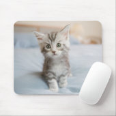 Maine-Waschbär-Kätzchen Mousepad (Mit Mouse)