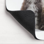 Maine-Waschbär-Kätzchen Mousepad (Ecke)