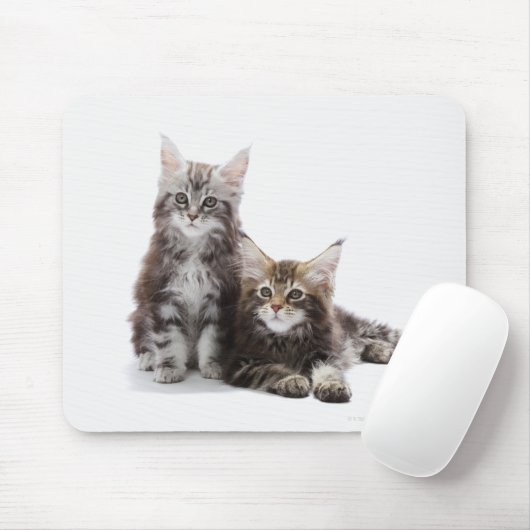 Maine-Waschbär-Kätzchen Mousepad (Mit Mouse)