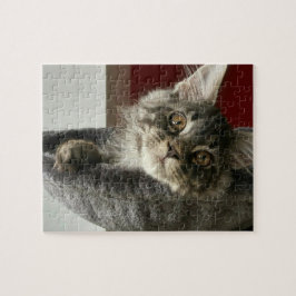 Maine-Waschbär-Kätzchen-Puzzle Puzzle