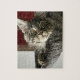 Maine-Waschbär-Kätzchen-Puzzle Puzzle