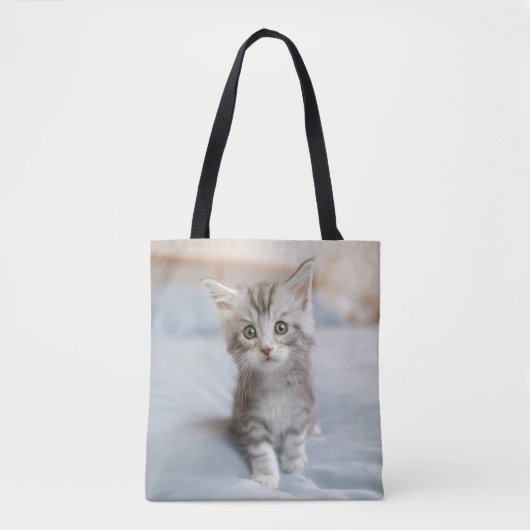 Maine-Waschbär-Kätzchen Tasche (Vorderseite)