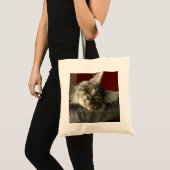 Maine-Waschbär-Kätzchen-Tasche Tragetasche (Vorderseite (Produkt))