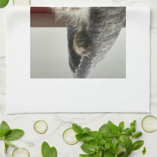 Maine-Waschbär-Kätzchen-Tee-Tuch Geschirrtuch (Gefaltet)