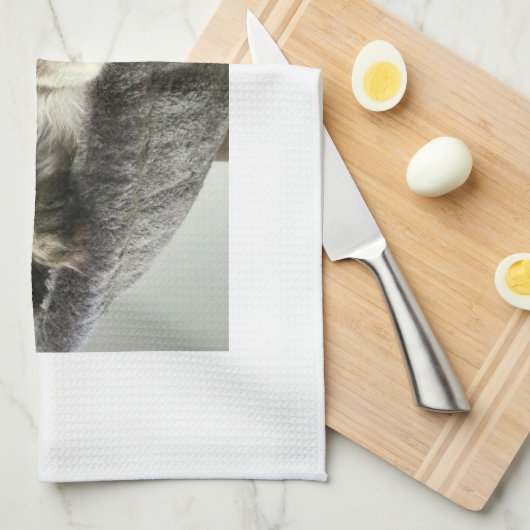 Maine-Waschbär-Kätzchen-Tee-Tuch Geschirrtuch (Viertel Falte)