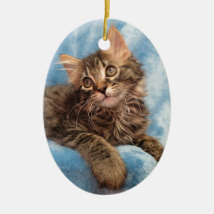Maine-Waschbär-Kätzchen-Verzierung Keramikornament
