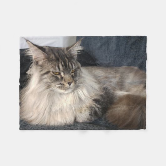Maine-Waschbär-Katze Fleecedecke (Vorderseite (Horizontal))