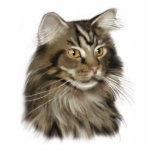 Maine-Waschbär-Katze Freistehende Fotoskulptur<br><div class="desc">Eine schöne Maine-Waschbärkatze.</div>