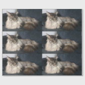 Maine-Waschbär-Katze Geschenkpapier (Flach)
