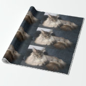 Maine-Waschbär-Katze Geschenkpapier (Ungerollt)