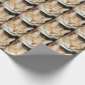 Maine-Waschbär-Katze Geschenkpapier (Ecke)