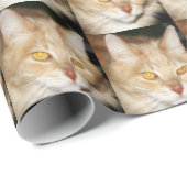 Maine-Waschbär-Katze Geschenkpapier (Rolleneckpunkt)