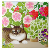 Maine-Waschbär-Katze in der Patio-Garten-Fliese Fliese (Vorderseite)