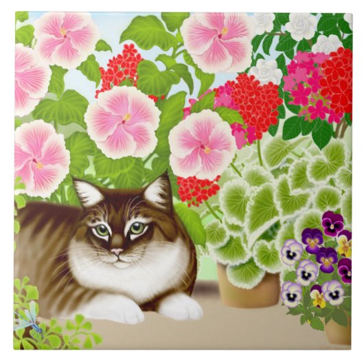 Maine-Waschbär-Katze in der Patio-Garten-Fliese Fliese (Vorderseite)