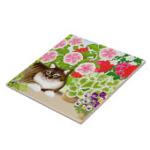 Maine-Waschbär-Katze in der Patio-Garten-Fliese Fliese (Seite)