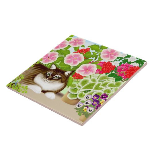 Maine-Waschbär-Katze in der Patio-Garten-Fliese Fliese (Seite)