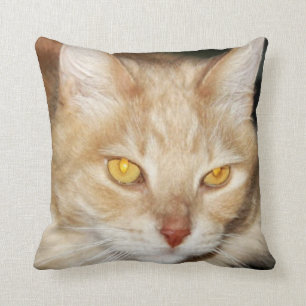Maine-Waschbär-Katze Kissen