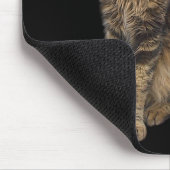 Maine-Waschbär-Katze Mousepad (Ecke)