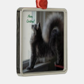 Maine-Waschbär-Katzen-Foto Silbernes Ornament (Rechts)