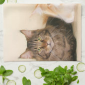 Maine-Waschbär-Katzen Handtuch (Gefaltet)