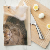 Maine-Waschbär-Katzen Handtuch (Viertel Falte)