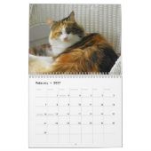 Maine-Waschbär-Katzen Kalender (Feb 2027)